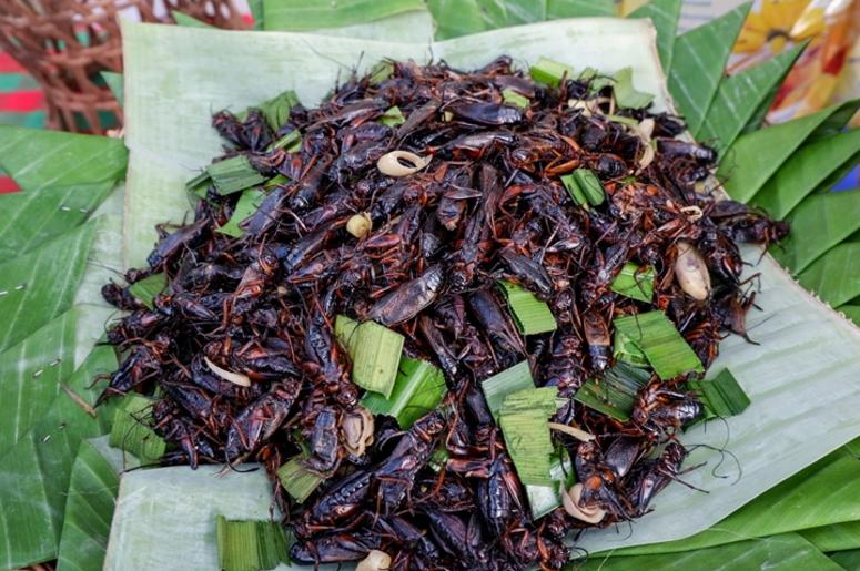 Fried crickets. Cooking, garlic. Fried crickets. Cooking, garlic.