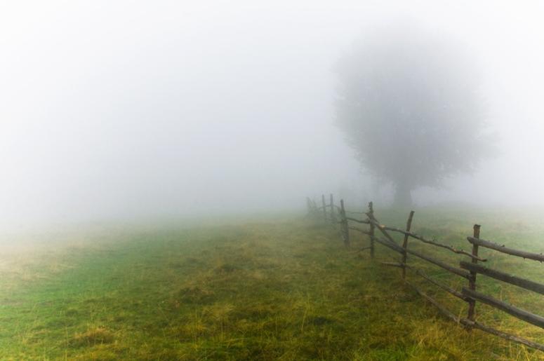 Fog fog