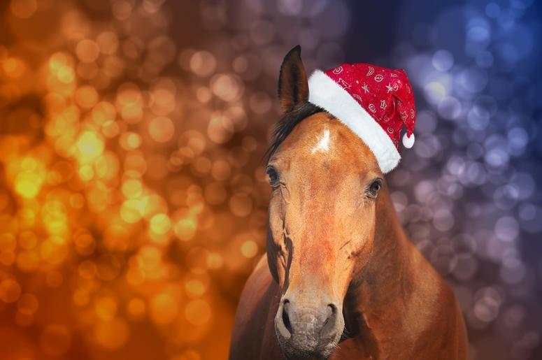Horse Horse