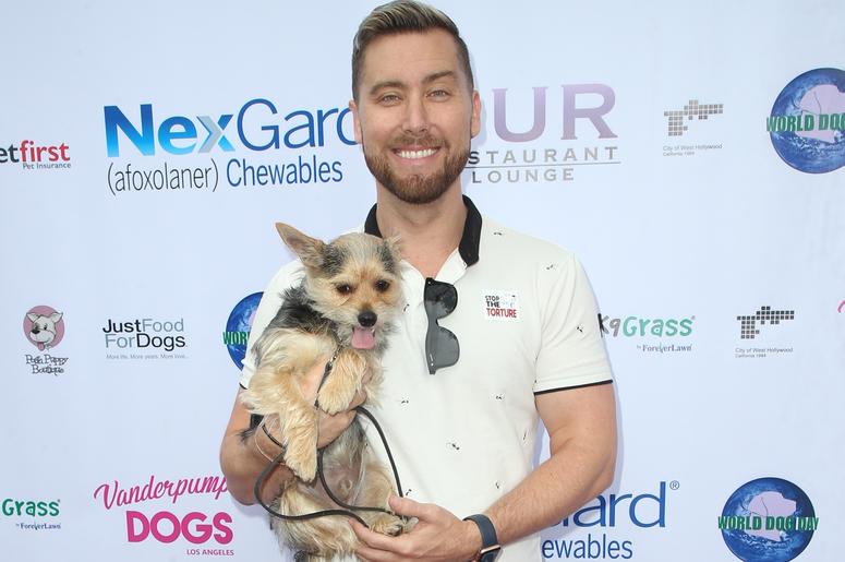 Lance Bass lance_bass