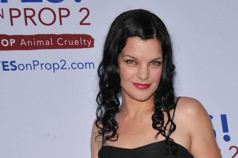 Pauley Perrette pauley_perrette