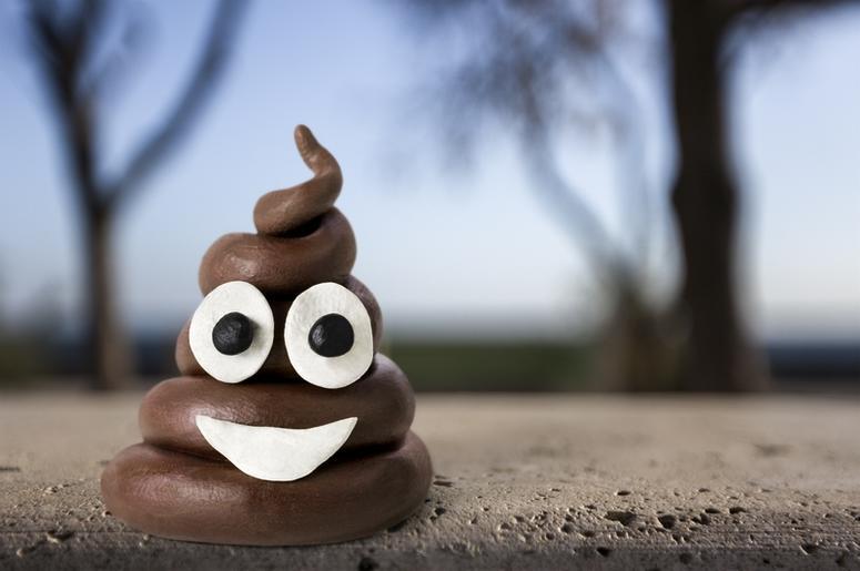 Road Rage leads to poop Road Rage leads to poop