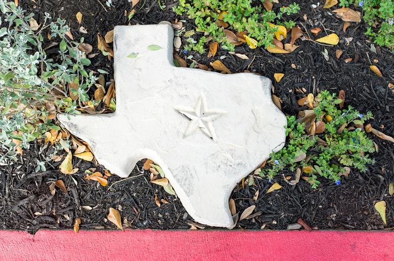 Texas Texas