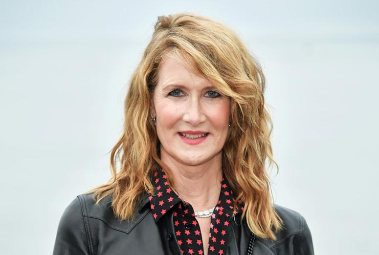 MALIBU, CALIFORNIA - JUNE 06: Laura Dern attends the Saint Laurent Mens Spring Summer 20 Show on June 06, 2019 in Paradise Cove Malibu, California. MALIBU, CALIFORNIA - JUNE 06: Laura Dern attends the Saint Laurent Mens Spring Summer 20 Show on June 06, 2019 in Paradise Cove Malibu, California.
