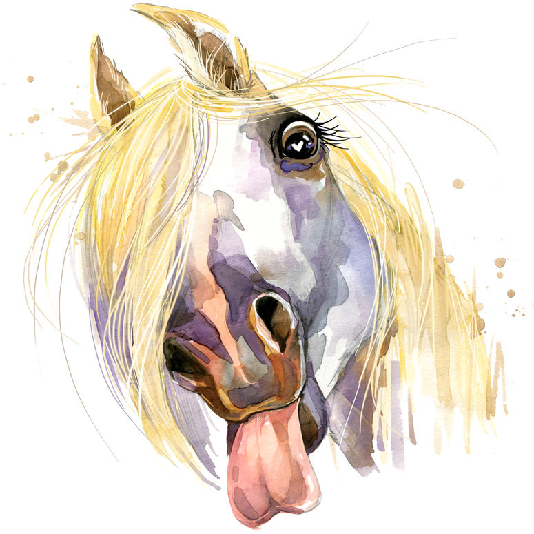 White horse kiss T-shirt graphics. horse illustration with splash watercolor textured background. White horse kiss T-shirt graphics. horse illustration with splash watercolor textured background.
