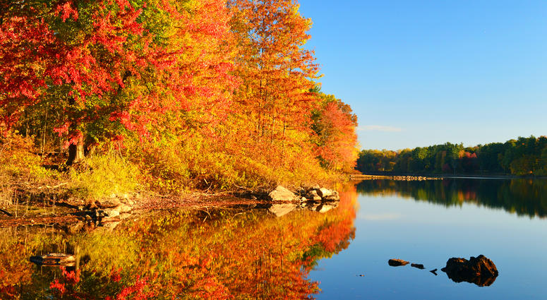 Red and orange trees along the river