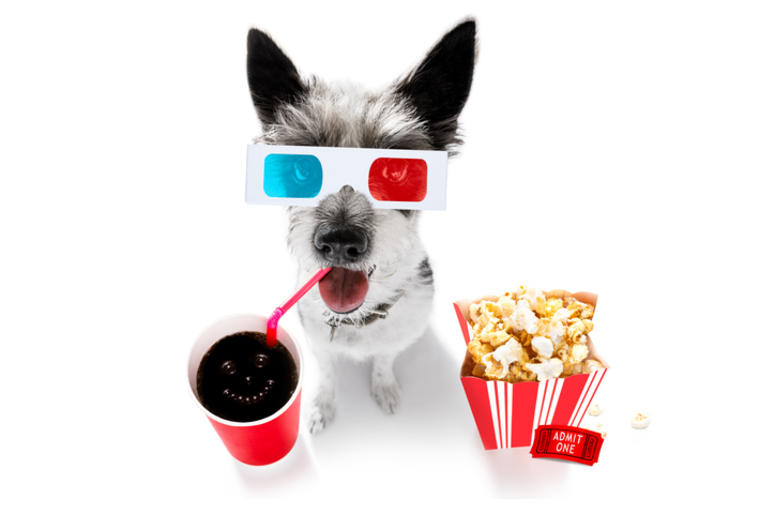 K9 Cinemas Plano Texas K9 Cinemas Plano Texas