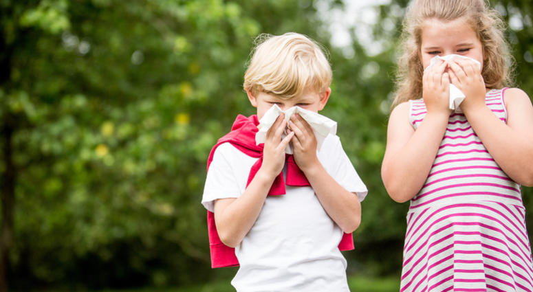 allergy kids Children with hay fever or allergy at the park sneezing and using tissue