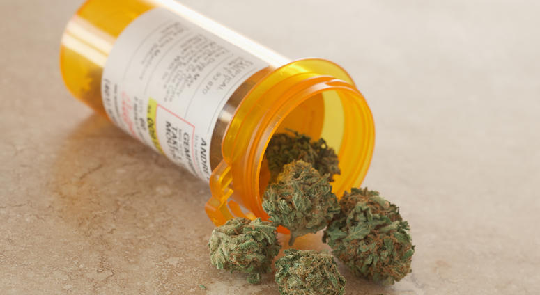 medical marijuana Medical Marijuana in prescription bottle