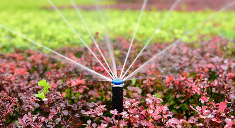 water sprinkler outdoor sprinkler system waters a flowerbed