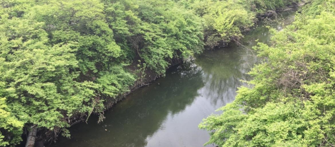 Feds link Coldwater Creek in North St. Louis to cancer risks KMOXAM