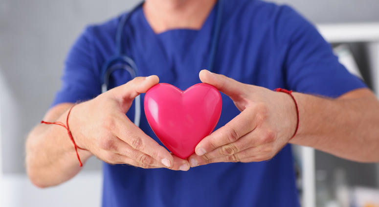 male doctor holding heart