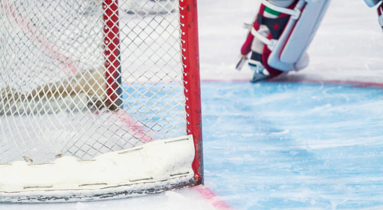 Hockey goal Hockey