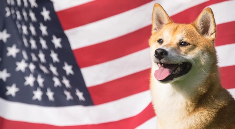 American flag behind dog