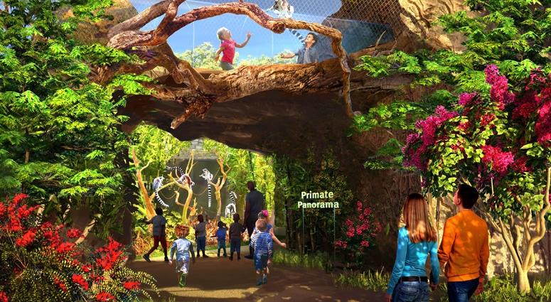 Primate Canopy Trails