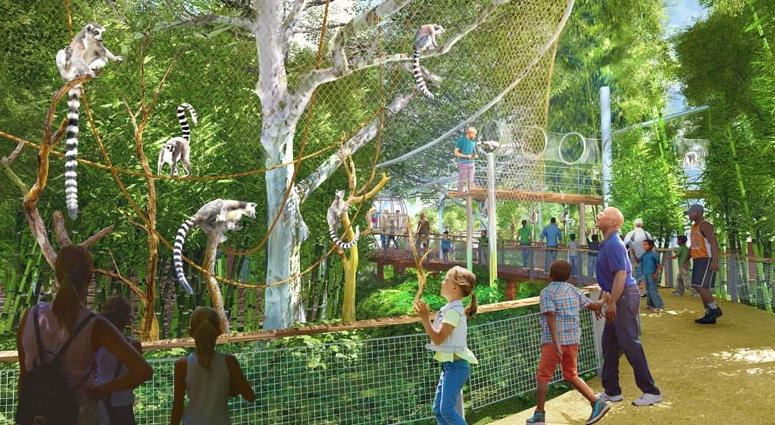 Primate Canopy Trails
