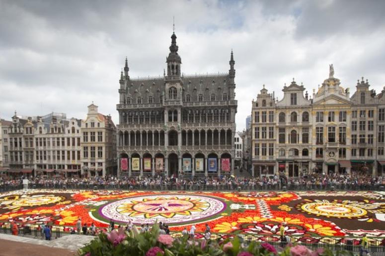 Bruselas Decora Para Mexico Bruselas Decora Para Mexico