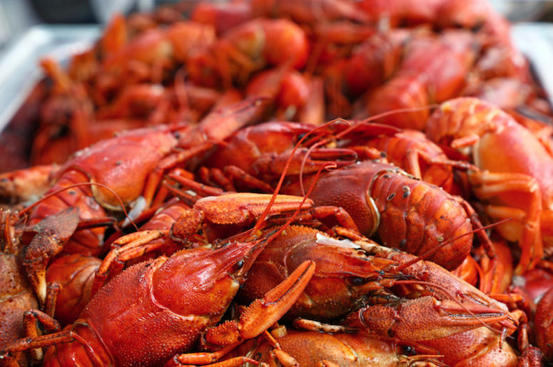 Crawfish Crawfish