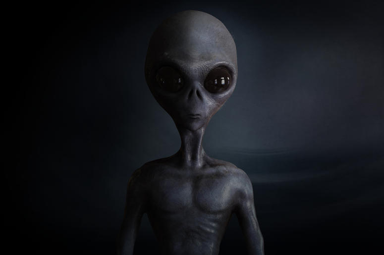 alien alien