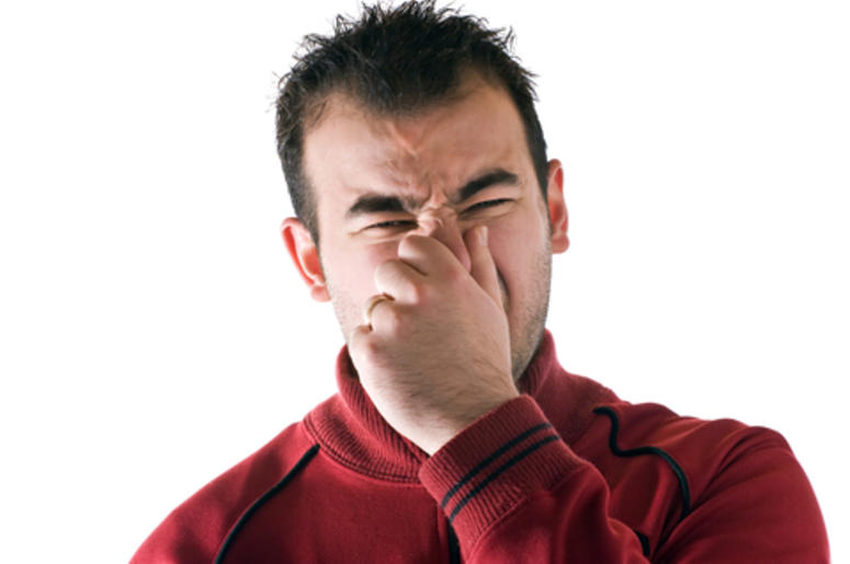 farts farts