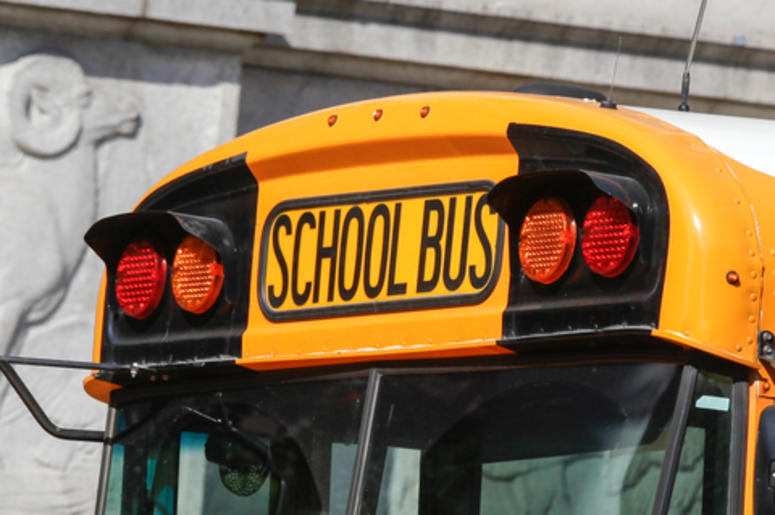 school bus school bus