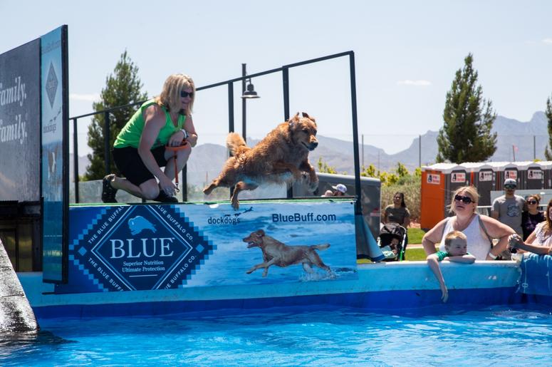 Petapalooza 2019 The Dogs18