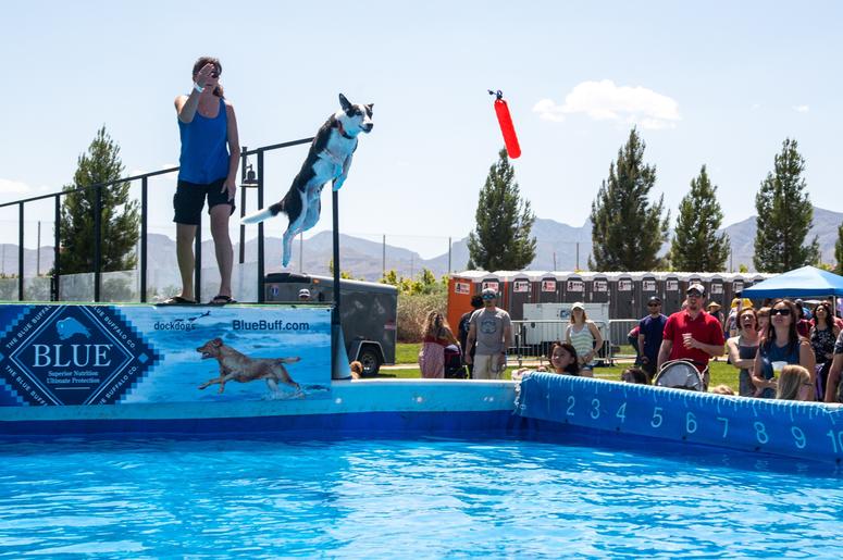 Petapalooza 2019 The Dogs 19