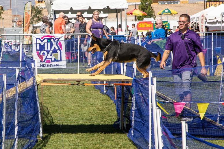 Petapalooza 2019 The Dogs 2