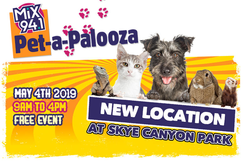 Petapalooza 2019 Petapalooza 2019