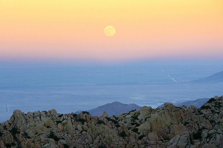 Harvest moon
