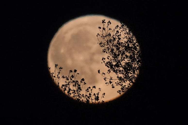harvest moon above somerset, england
