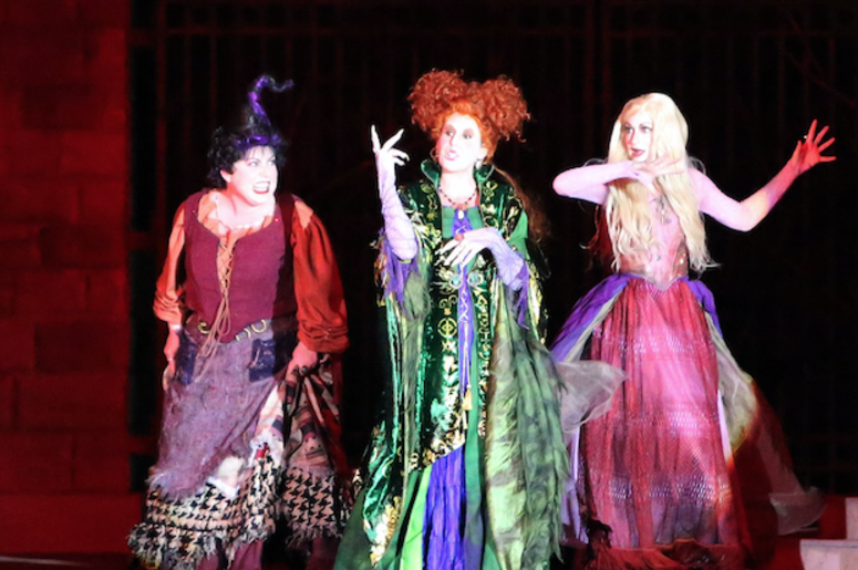Hocus Pocus Hocus Pocus