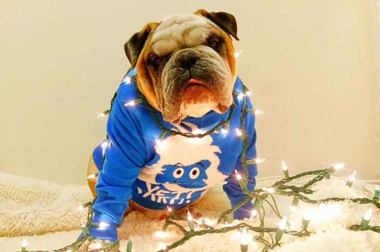 Ugly Christmas Sweater Ugly Christmas Sweater