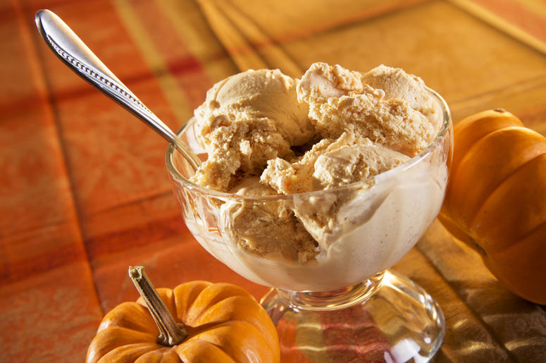 pumpkin ice cream pumpkin ice cream