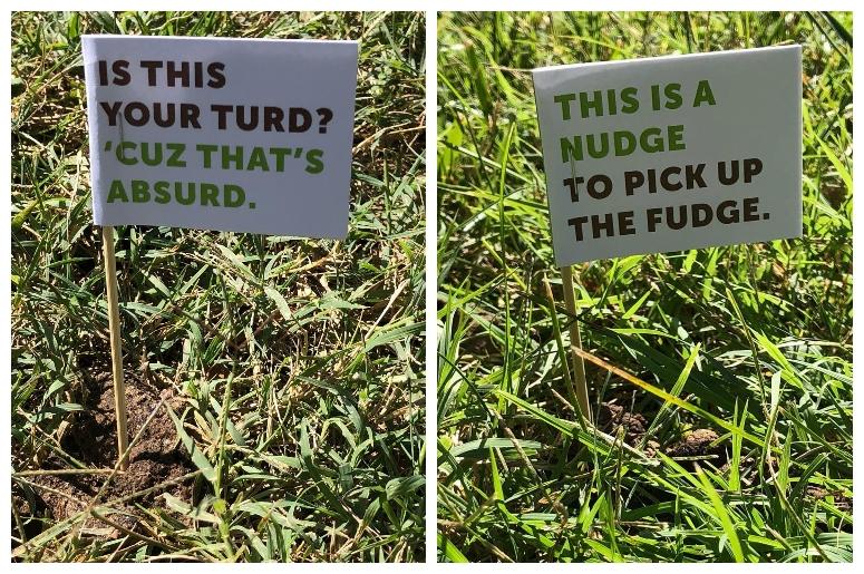 #scoopthepoop flags