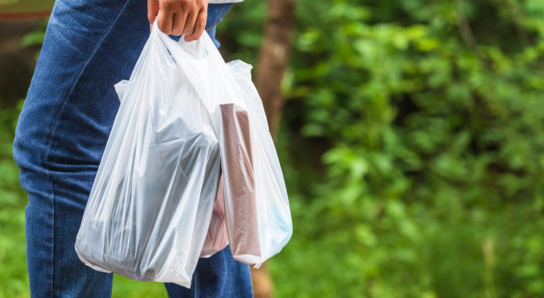 Person walking with filled plastic bags