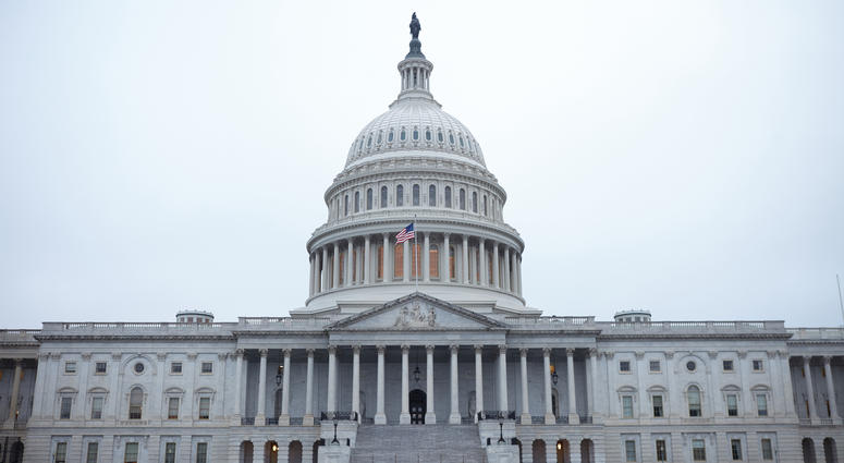 picture of nation's capitol in Washington D.C.