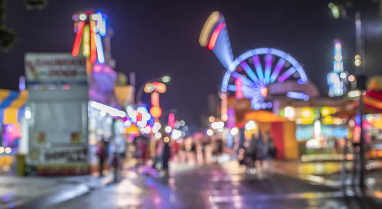 Picture of the state fair