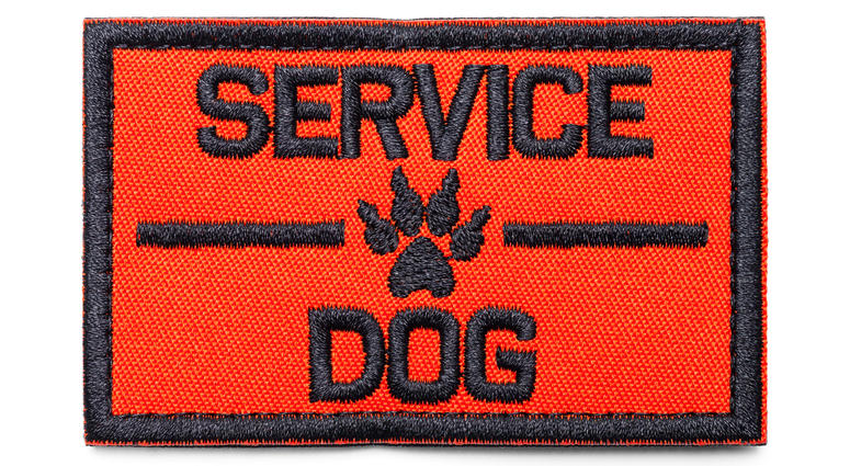 Service dog patch