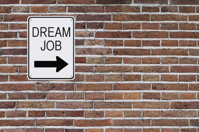 DREAM JOB DREAM JOB HERE