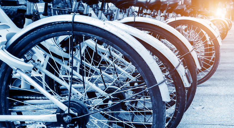 Bike Share Bike Share