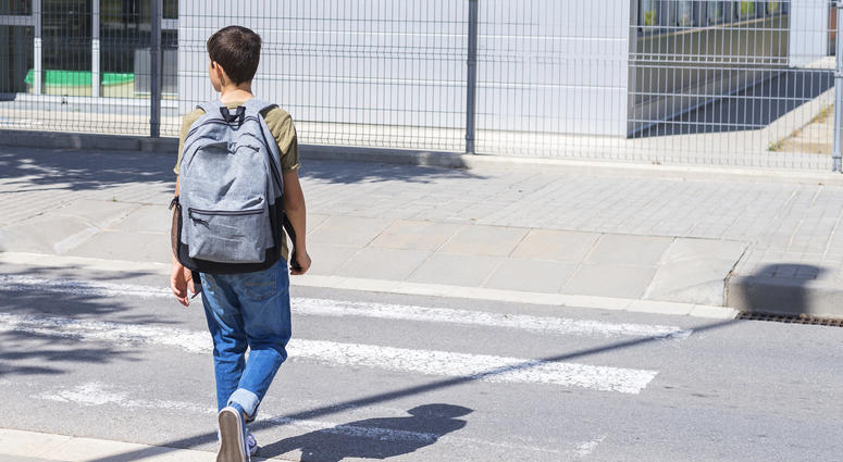 School Backpack School Backpack