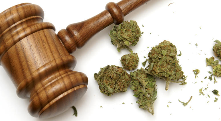 Marijuana Marijuana