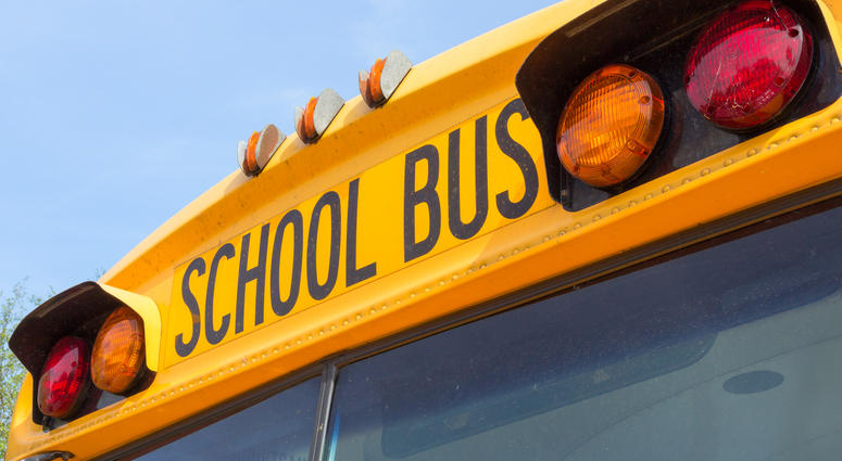 School Bus School Bus