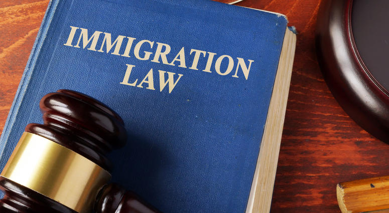 Immigration Immigration