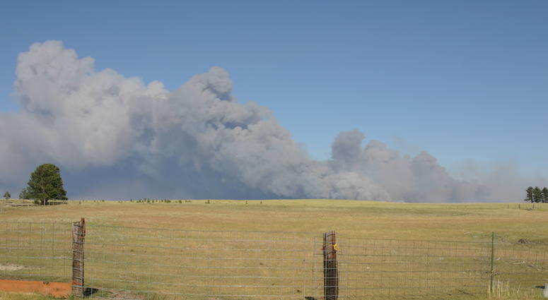Wildfire Wildfire