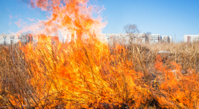 Grass Fire In McKinney Grass Fire In McKinney