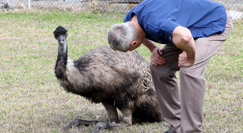 Emu Emu