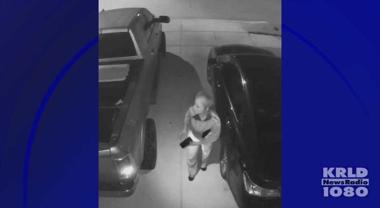 Car Burglar Caught On Video Car Burglar Caught On Video