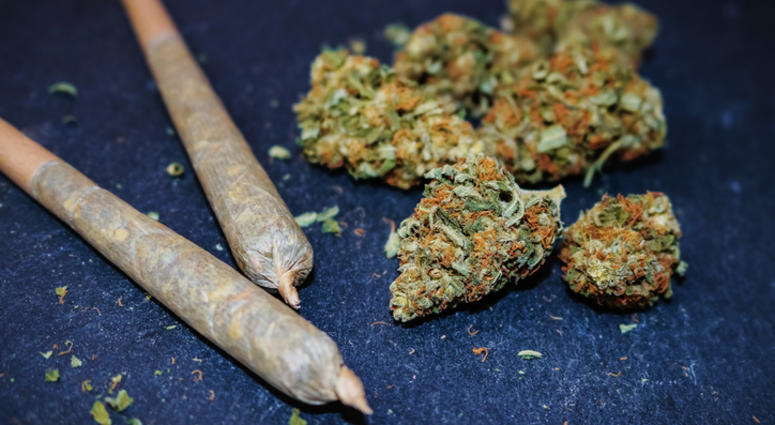 Marijuana, Marijuana,